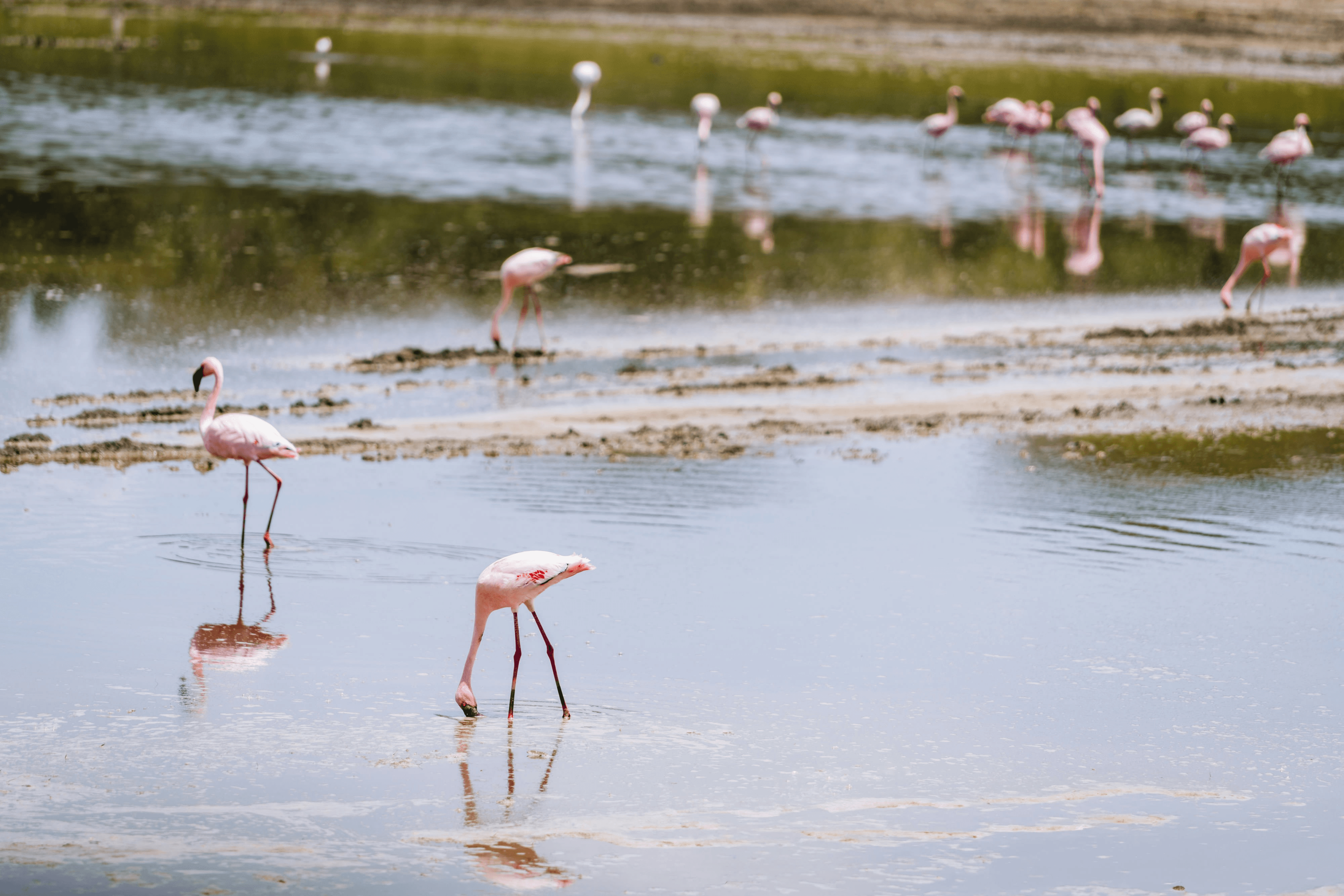 Ngorongoro crater at sunrise